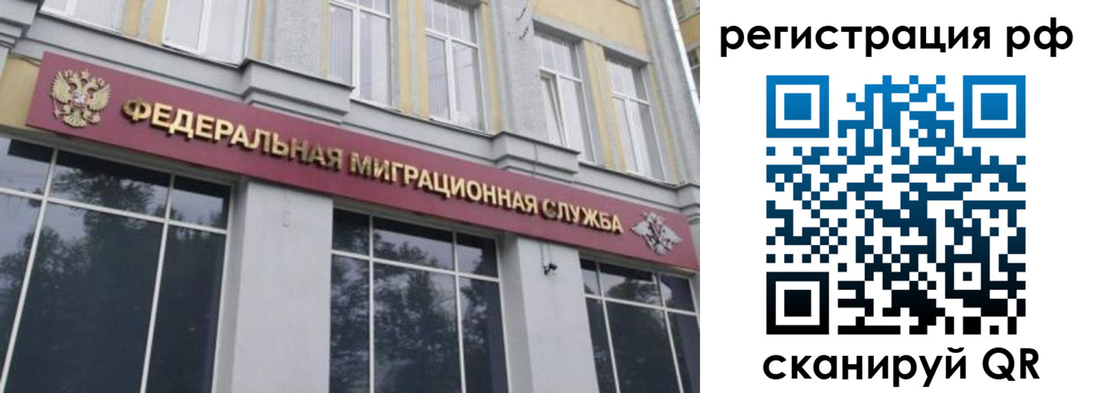 прописка законно в Щиграх